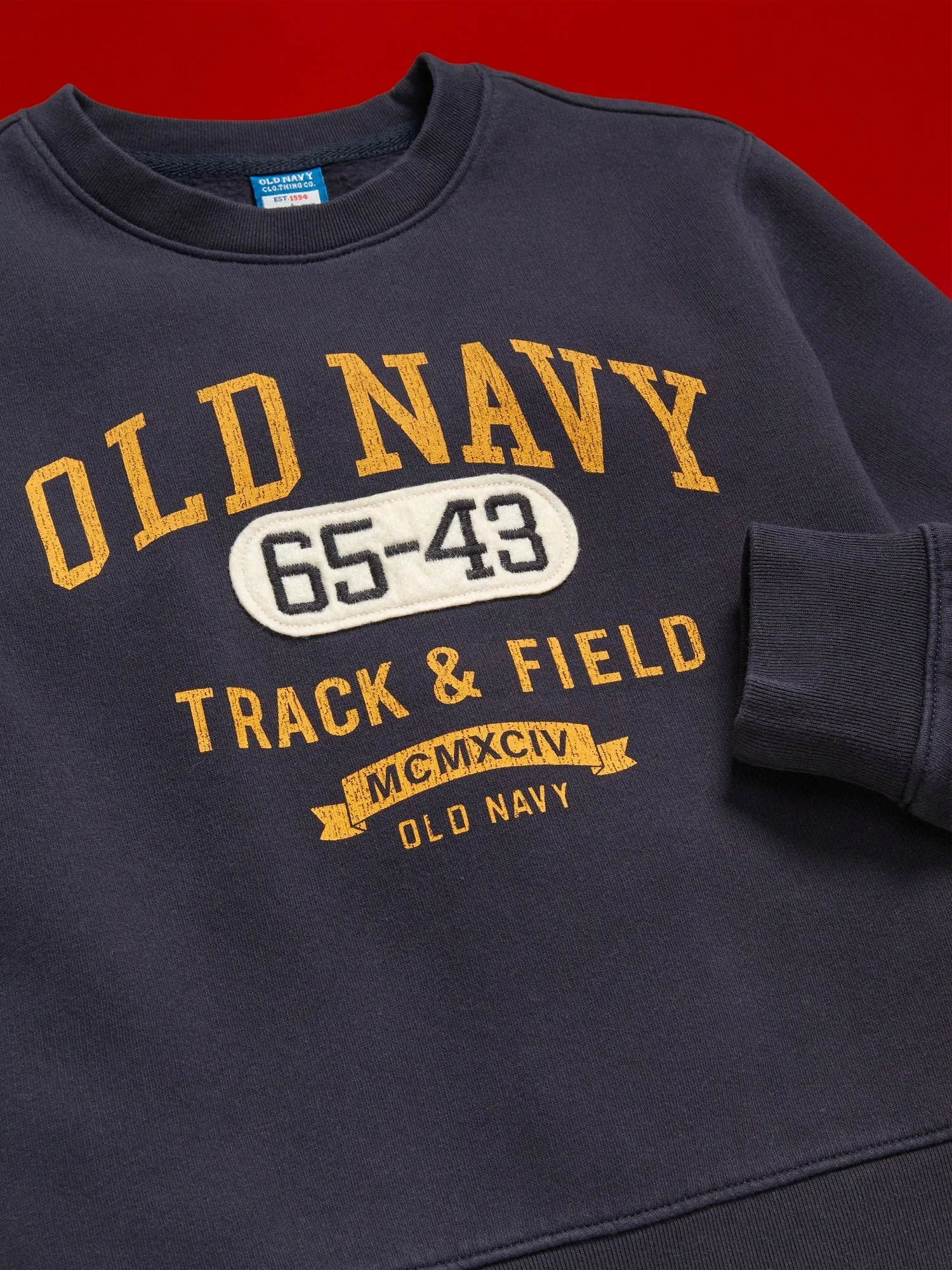 94 Gender-Neutral Logo-Graphic Sweatshirt for Kids