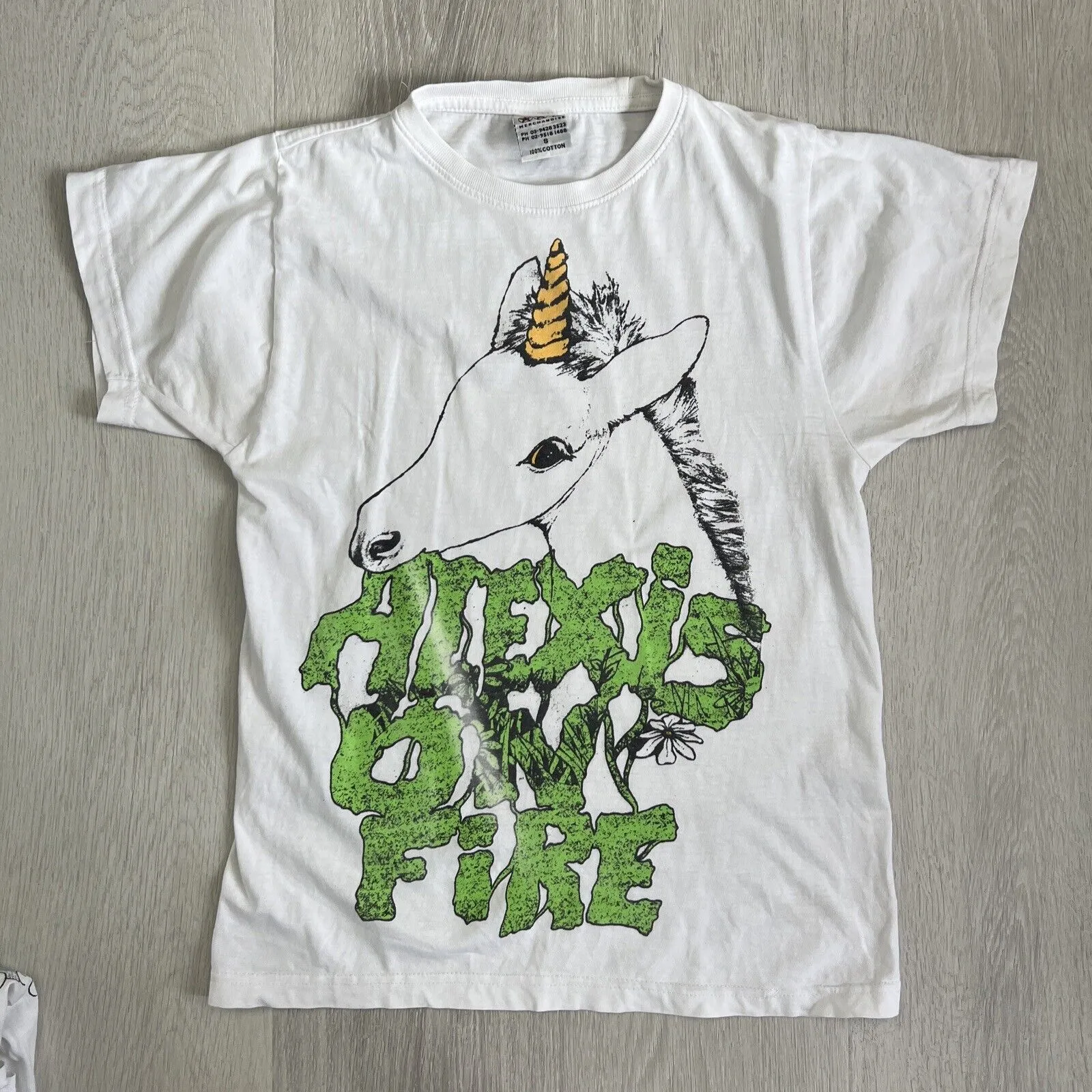 Alex Is On FIre AlexIsOnFIre Band Music  White T-Shirts x 2