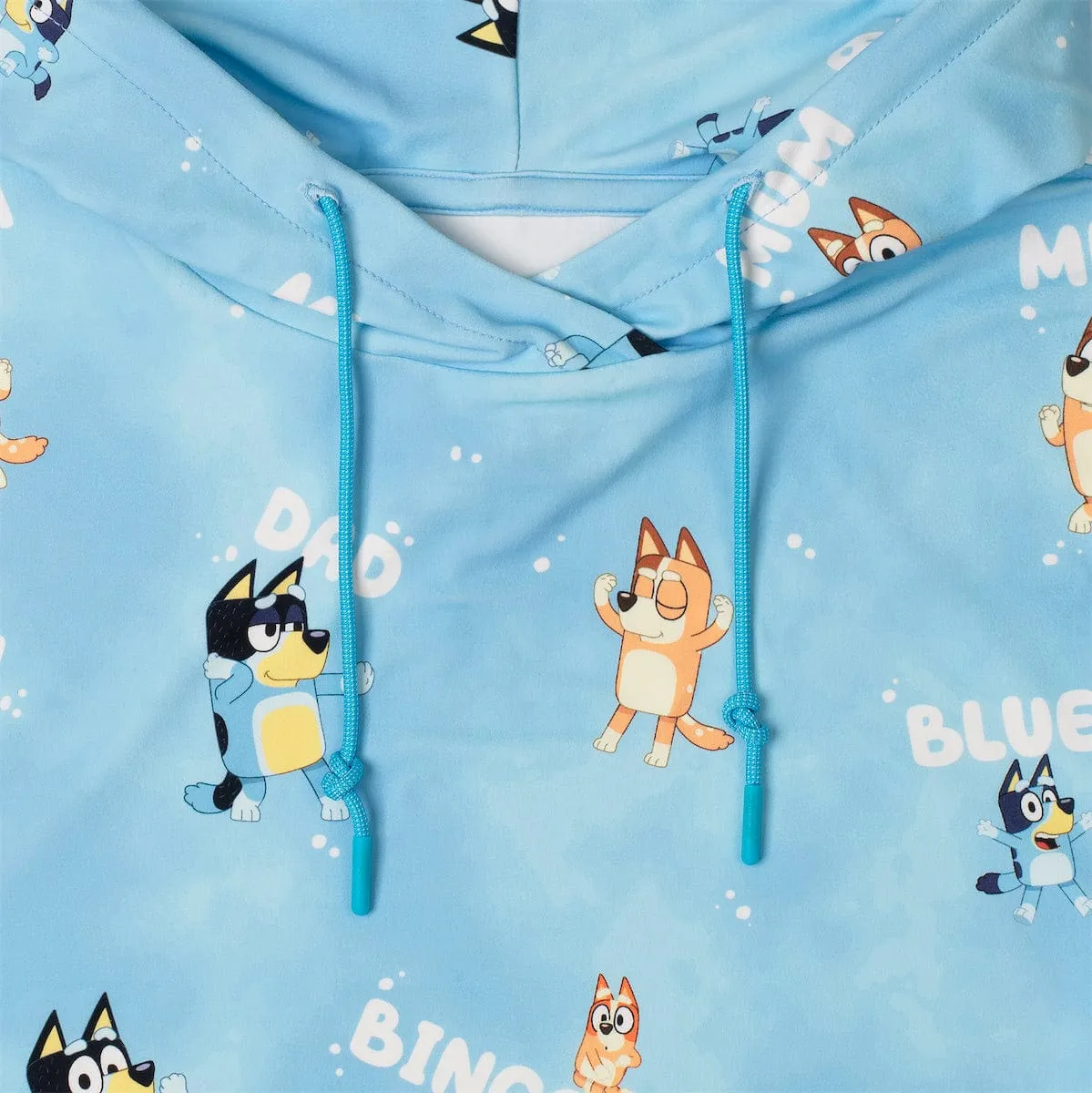 Bluey "Meet the Heelers" – Performance Hoodie