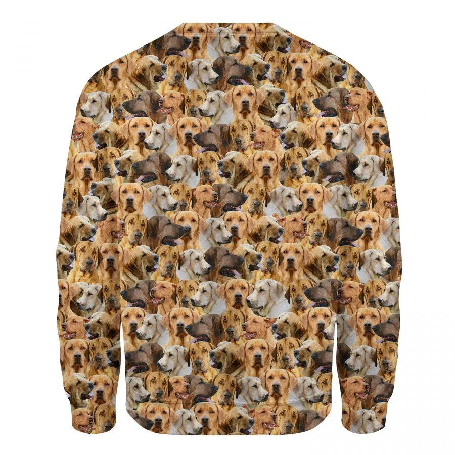 Broholmer F- Full Face - Premium Sweatshirt