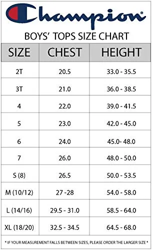 Champion Fleece Sweatshirt