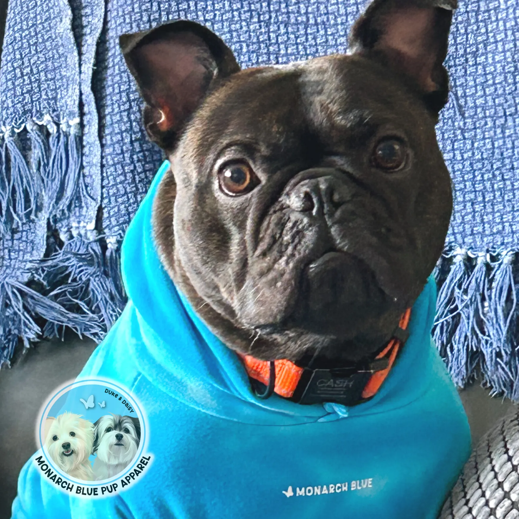 COOKIE Pup Hoodie