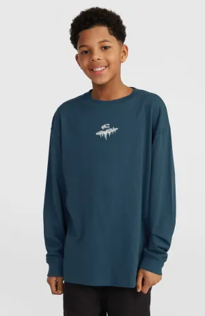 Graphic Langarmshirt | Alma Steel