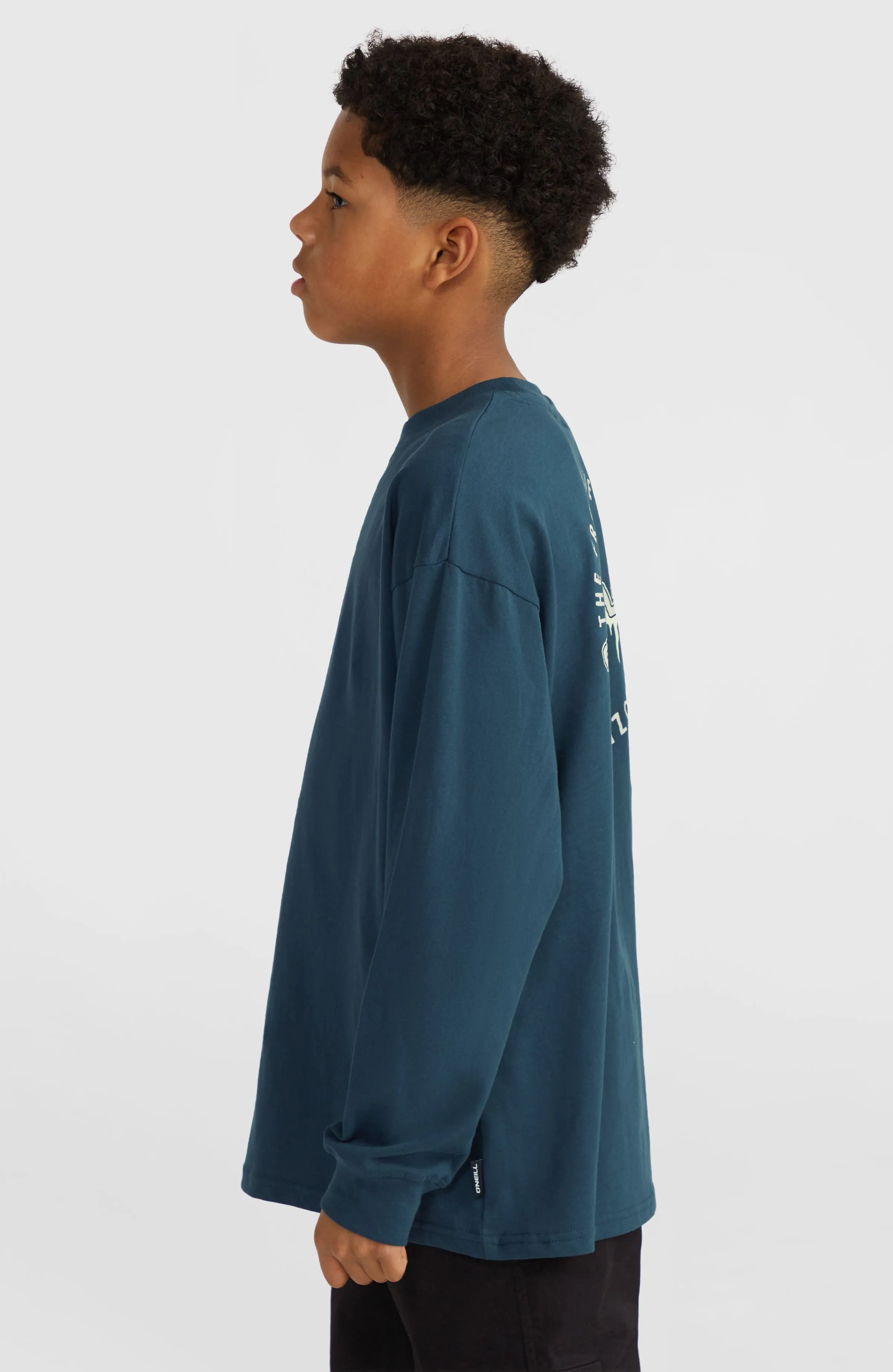 Graphic Langarmshirt | Alma Steel