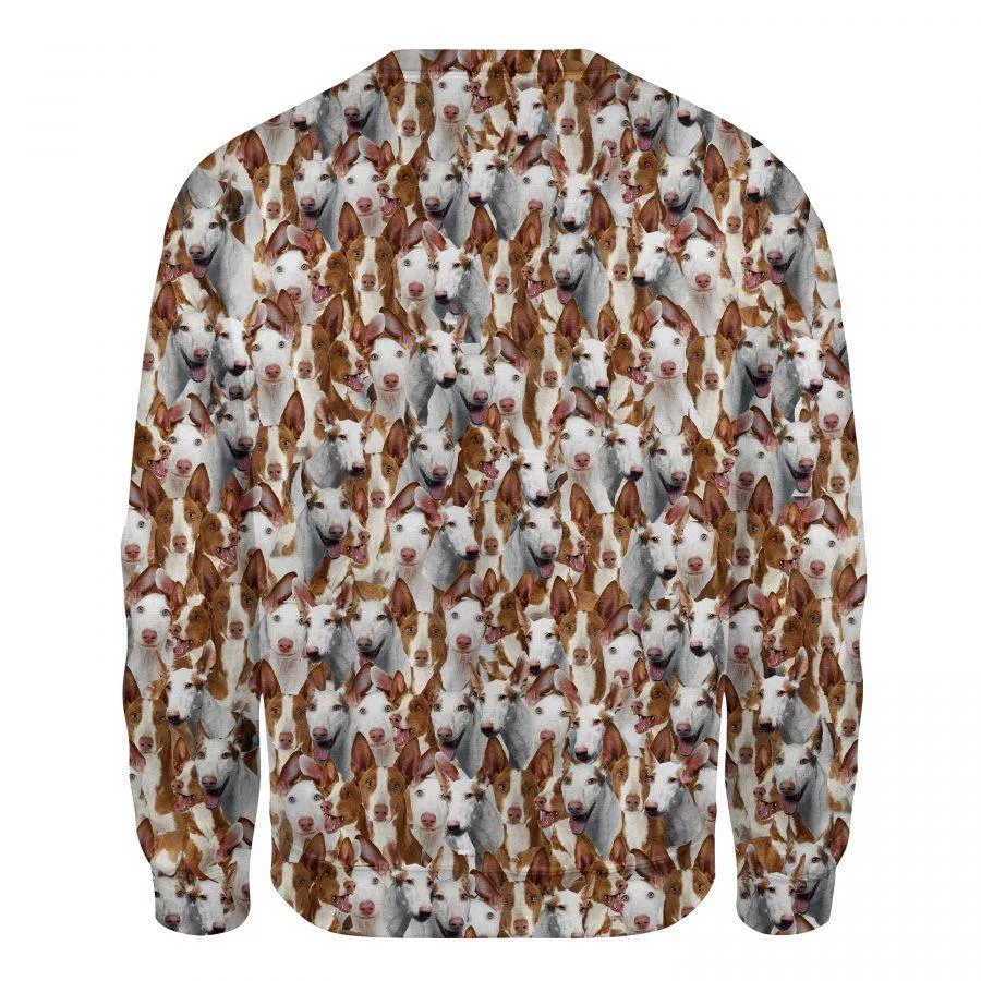 Ibizan Hound - Full Face - Premium Sweatshirt