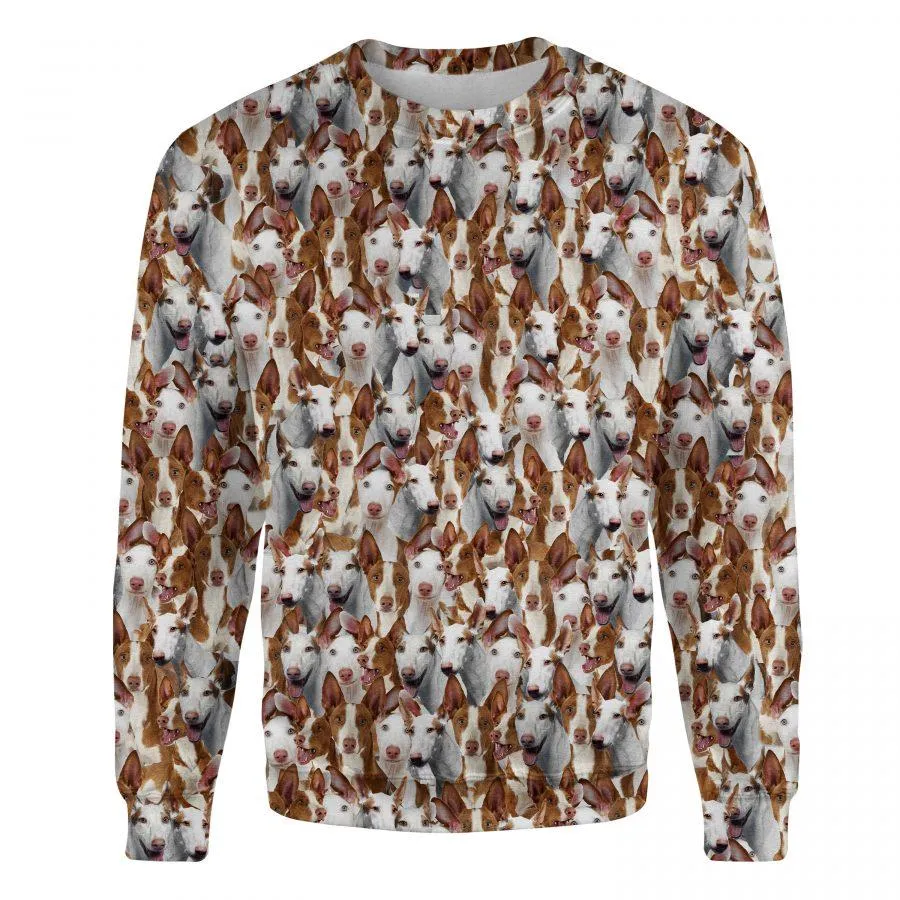 Ibizan Hound - Full Face - Premium Sweatshirt