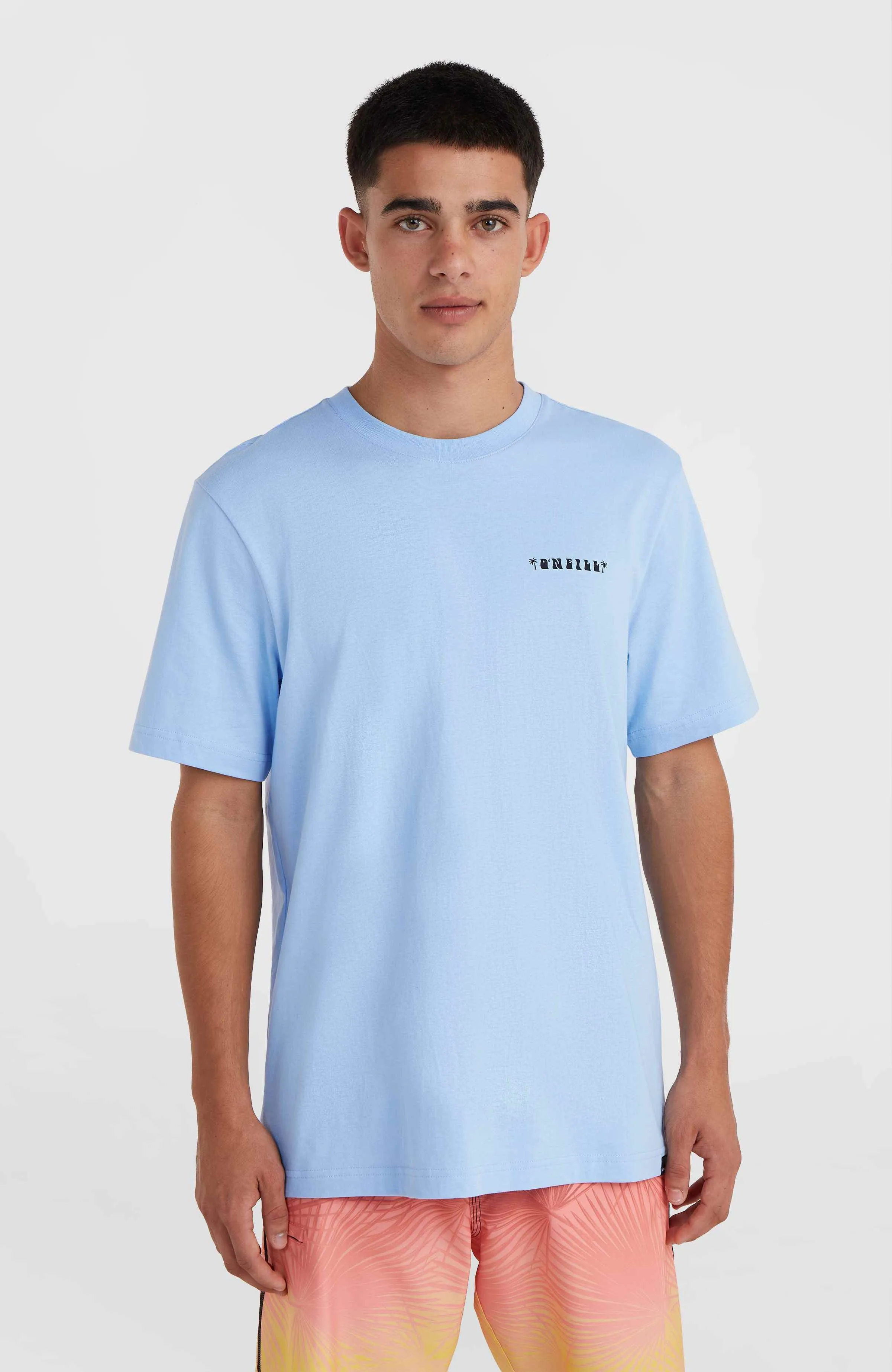 O'Neill Beach Graphic T-Shirt | Melody Blue
