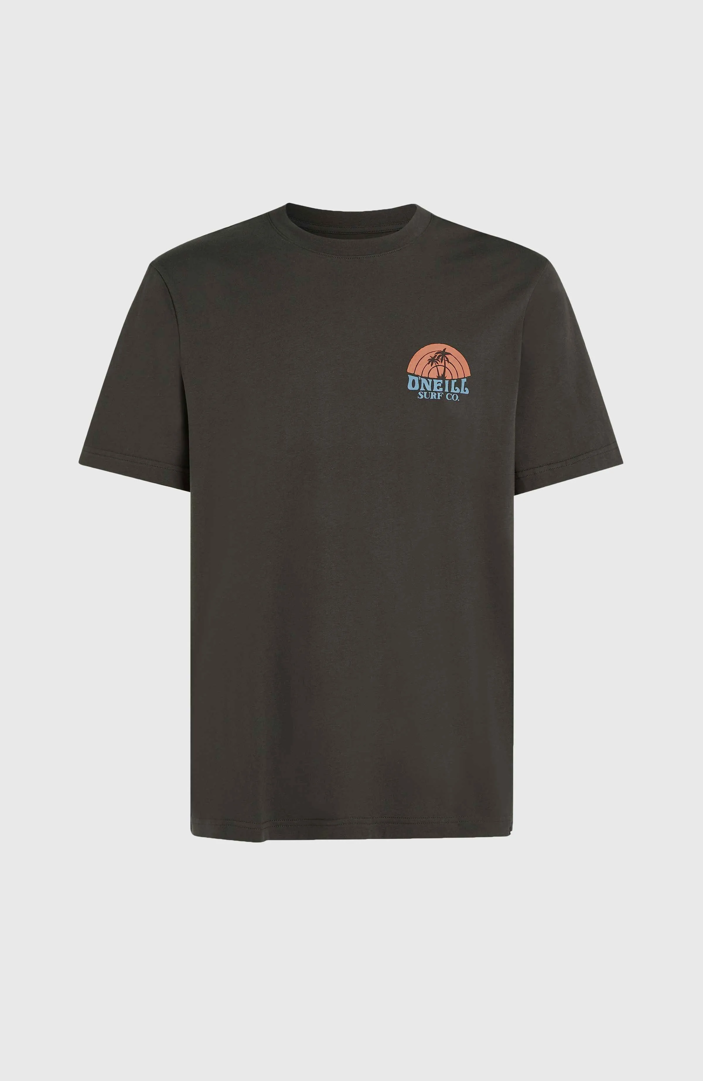 O'Neill Beach Graphic T-Shirt | Raven