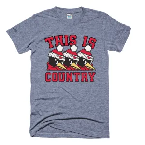 Penguin Country