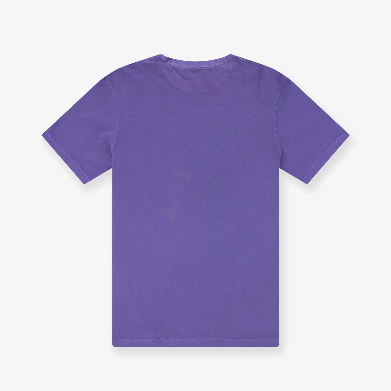 Phoenix Suns Hoop Tee - Faded Purple