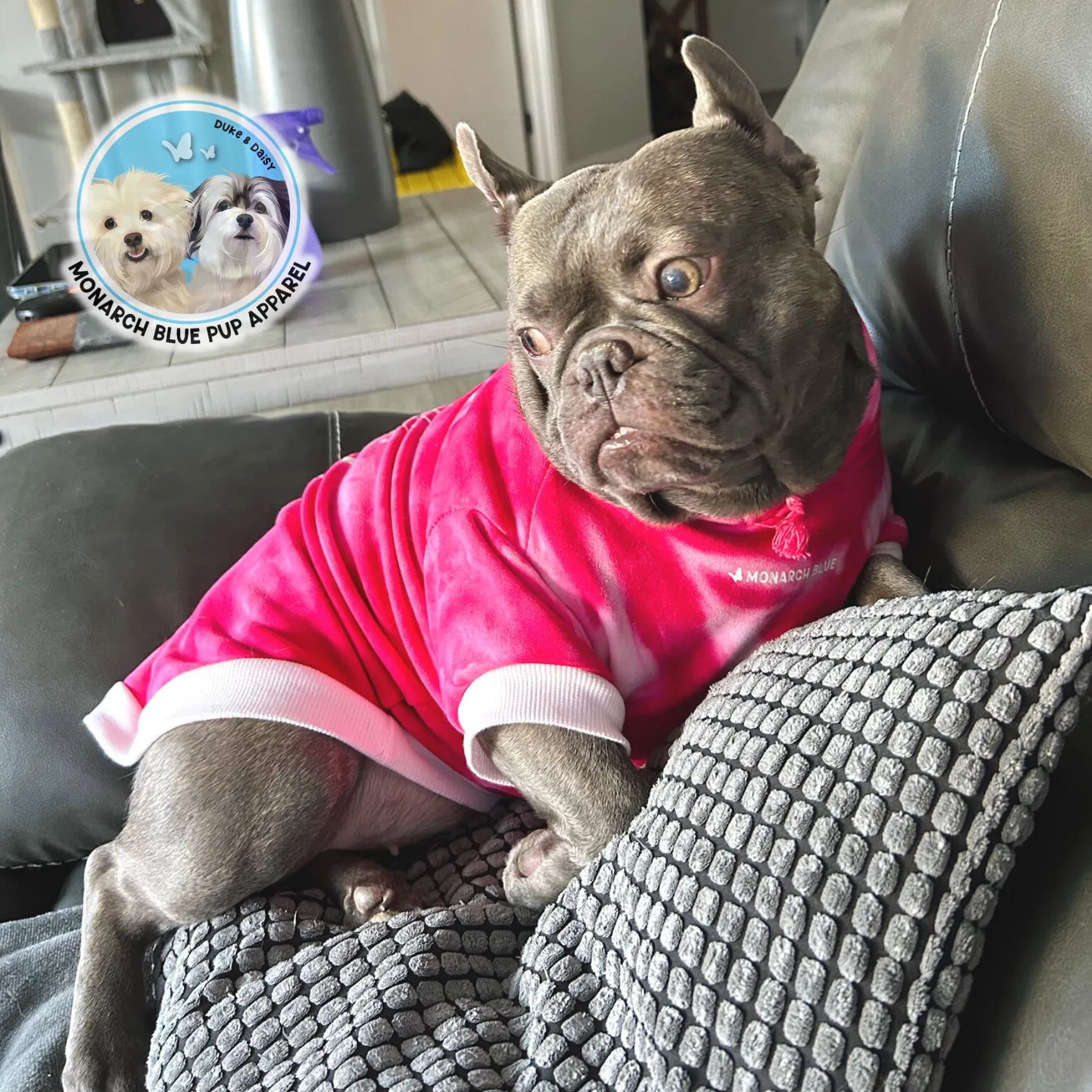 SASSY Pup Hoodie