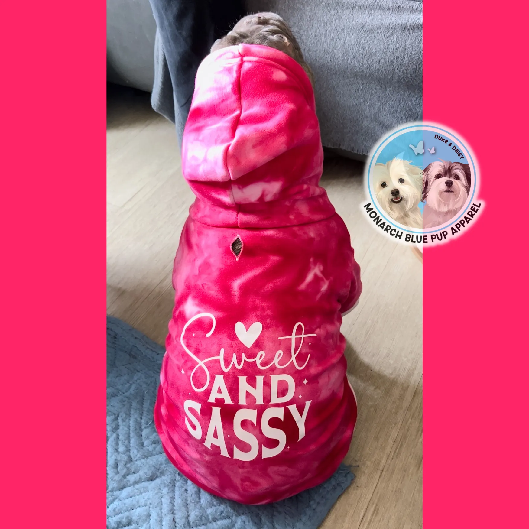 SASSY Pup Hoodie