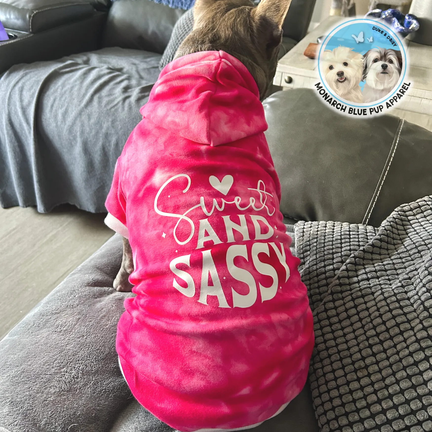SASSY Pup Hoodie
