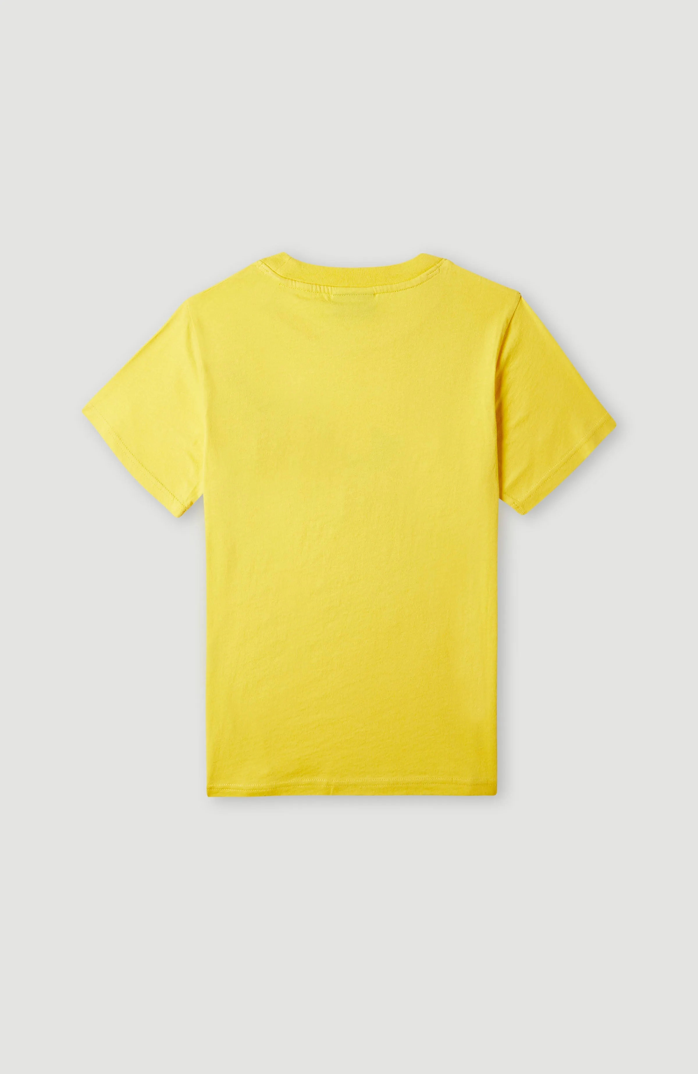 Sefa Graphic T-Shirt | Dandelion