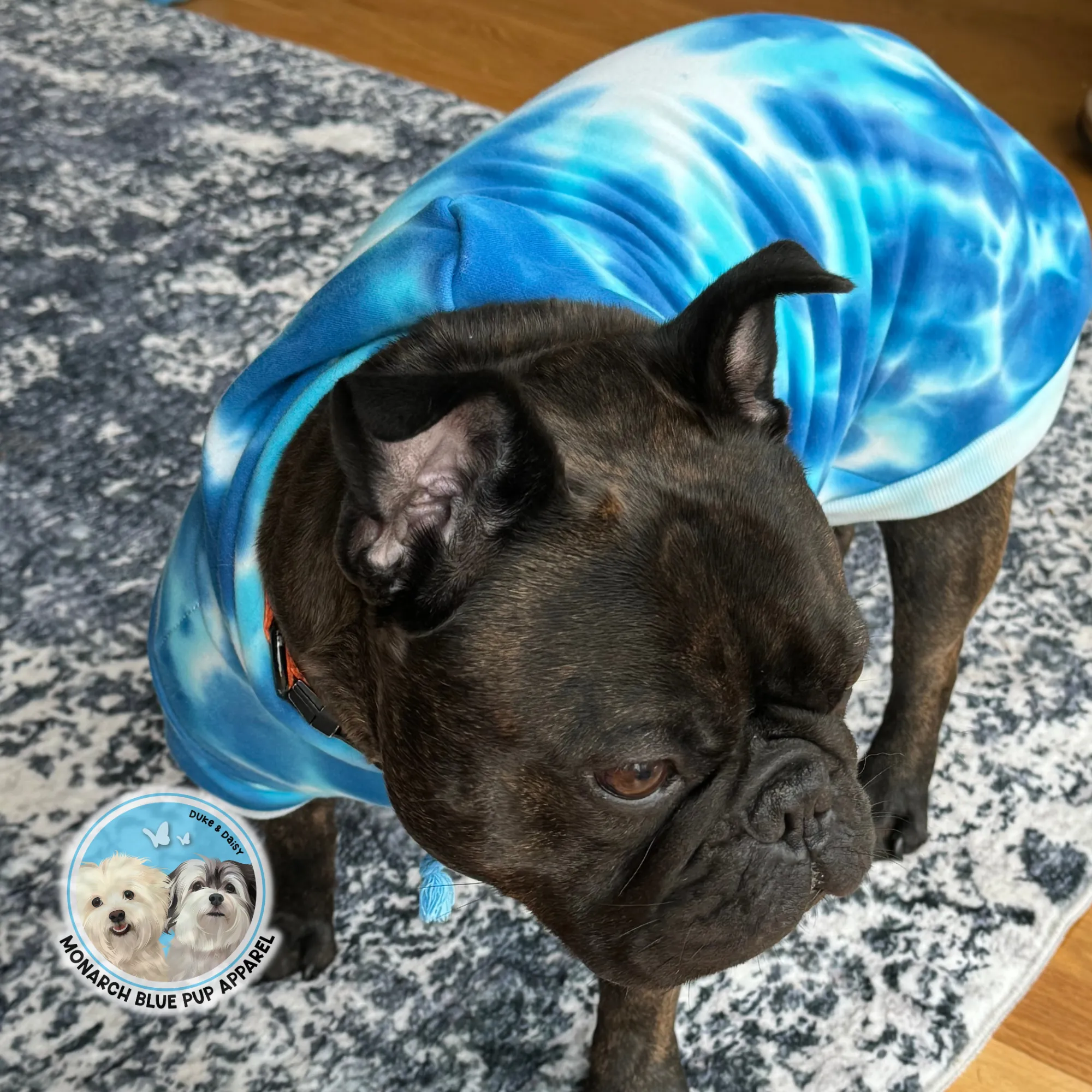 SKY Pup Hoodie