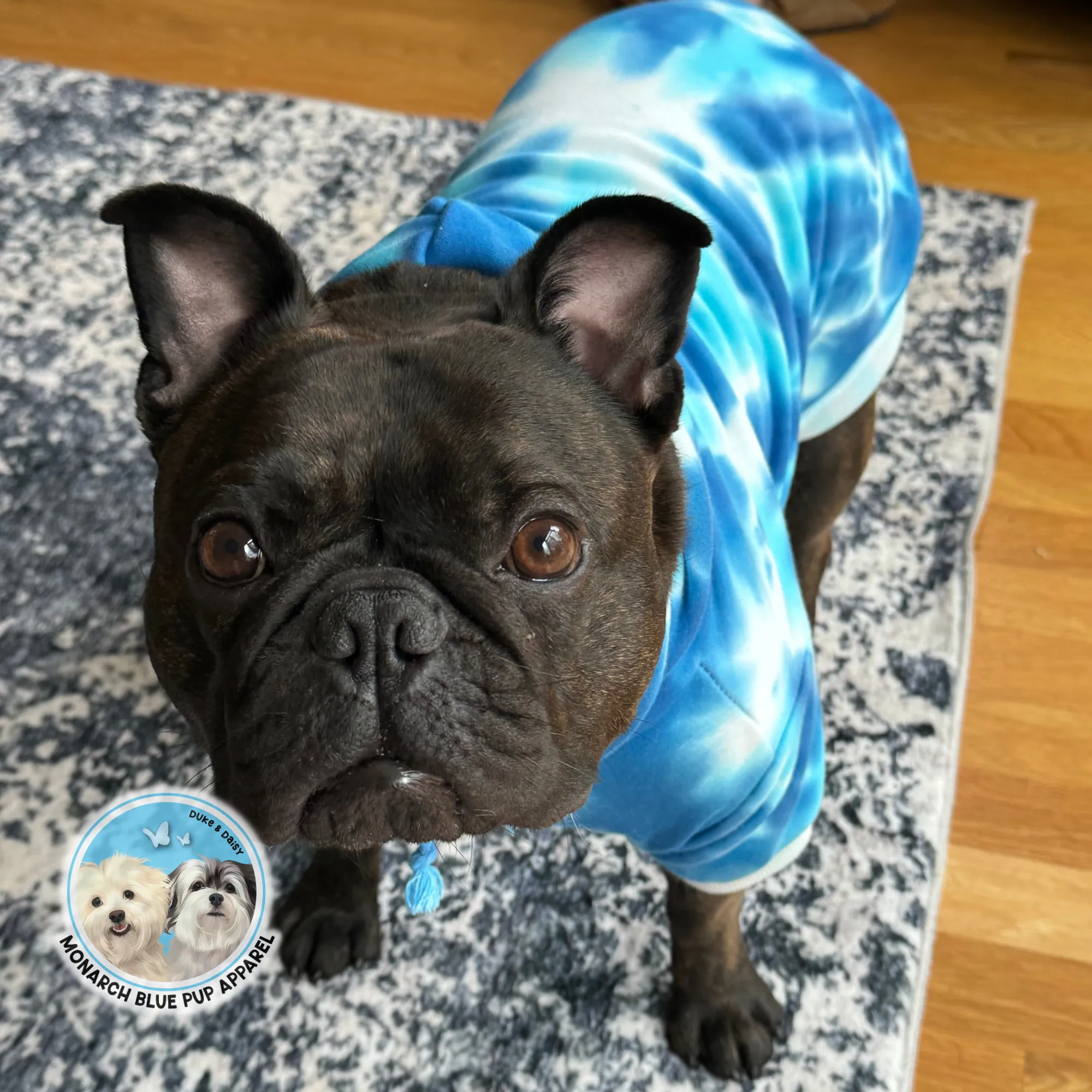 SKY Pup Hoodie