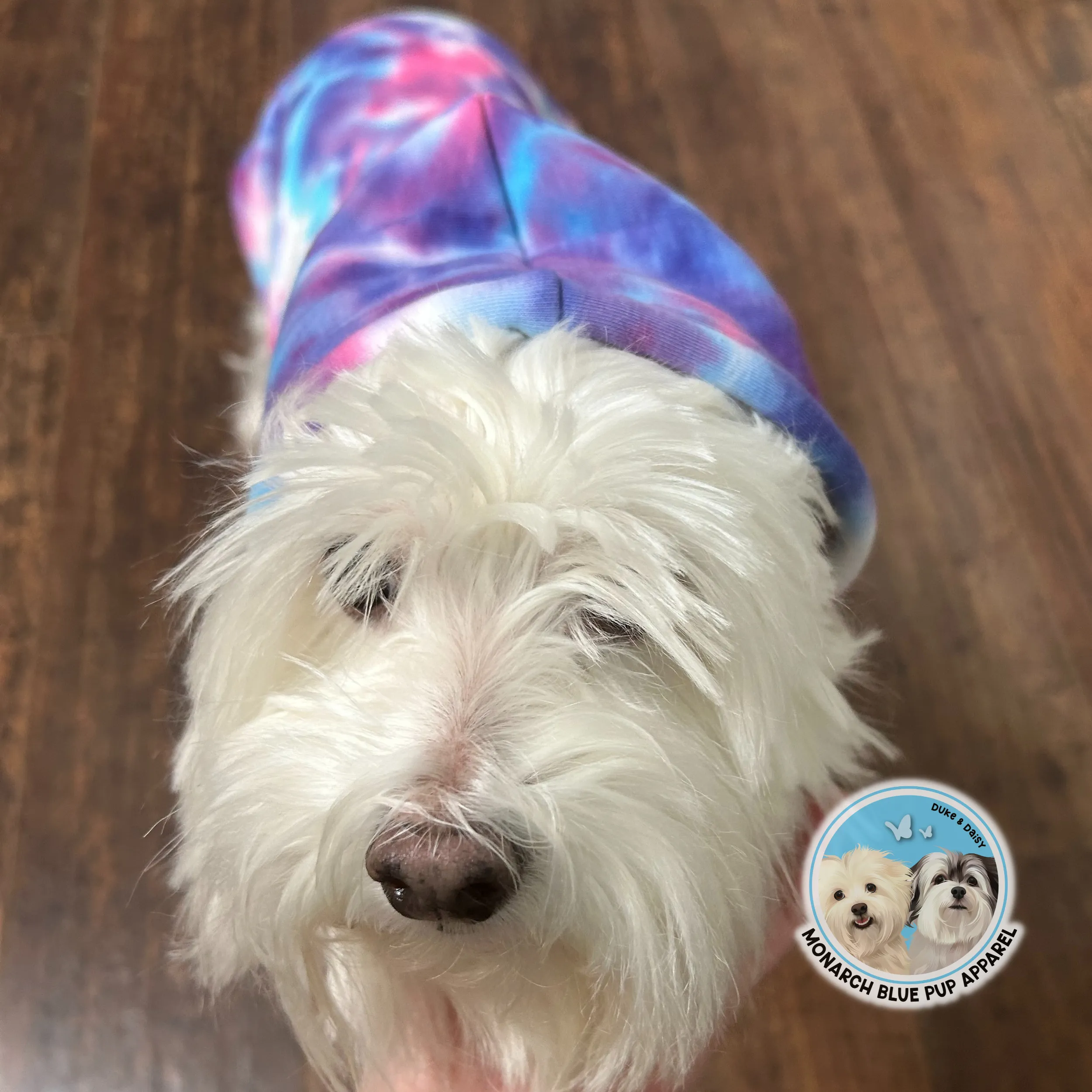 SNOW CONE Pup Hoodie