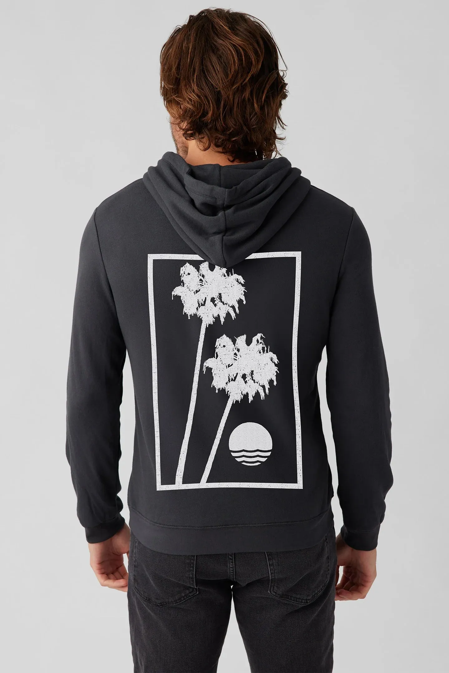 Sol Angeles Reeves Palm Hoodie