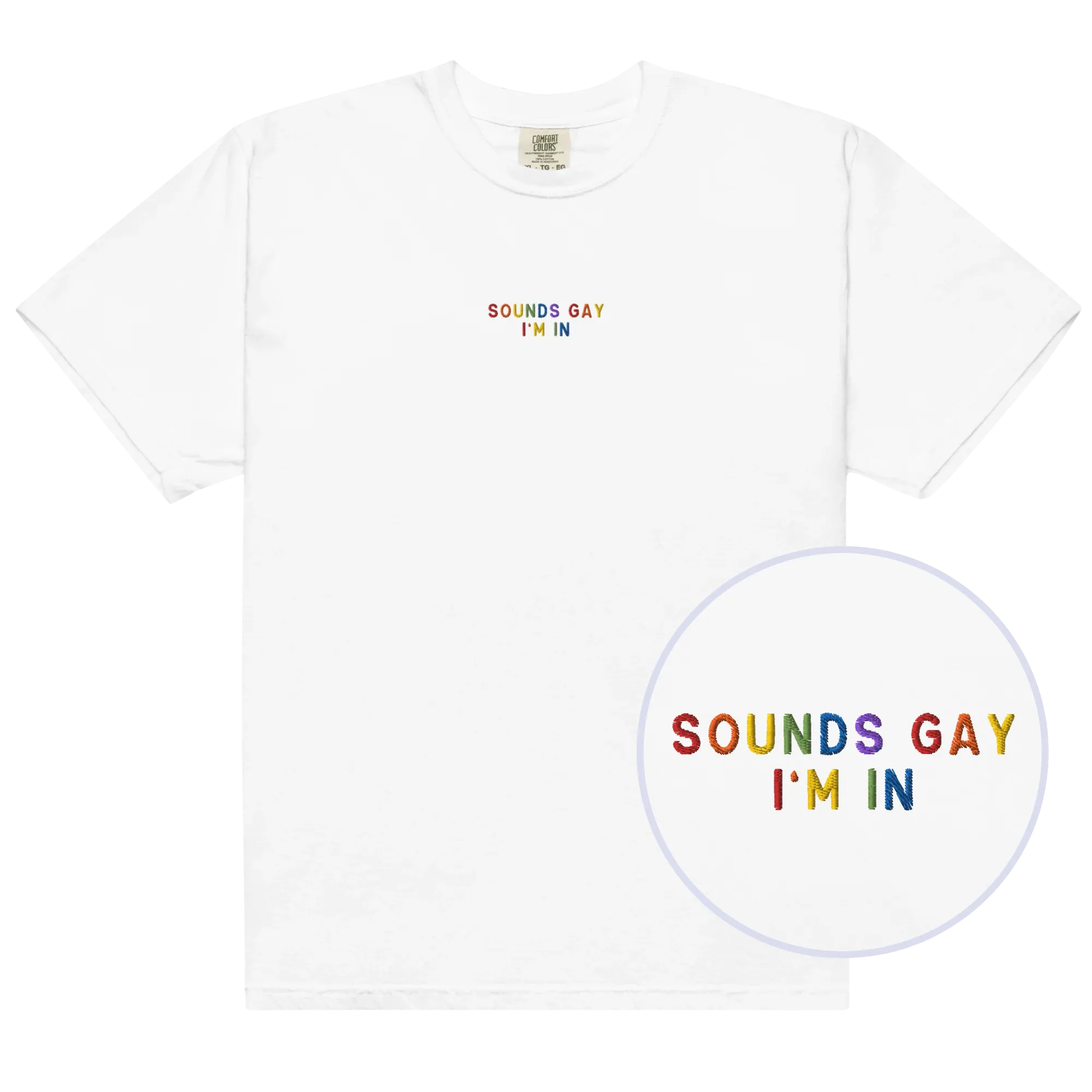 Sounds Gay, I'm In Pride Embroidered Premium T-Shirt