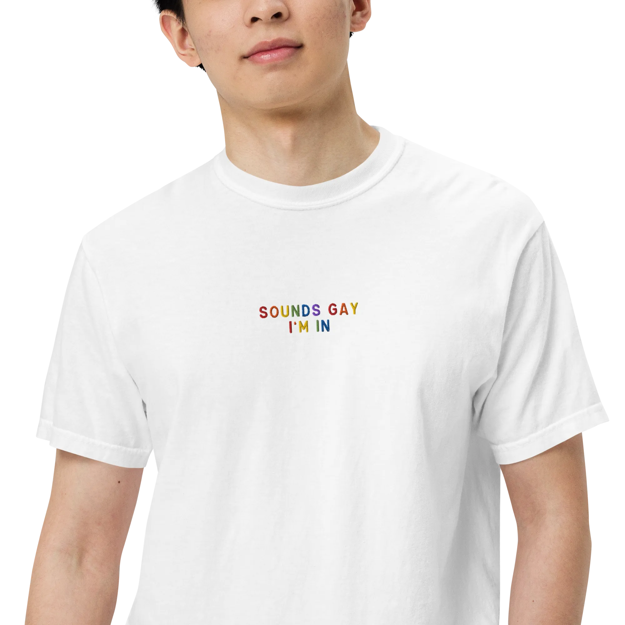 Sounds Gay, I'm In Pride Embroidered Premium T-Shirt