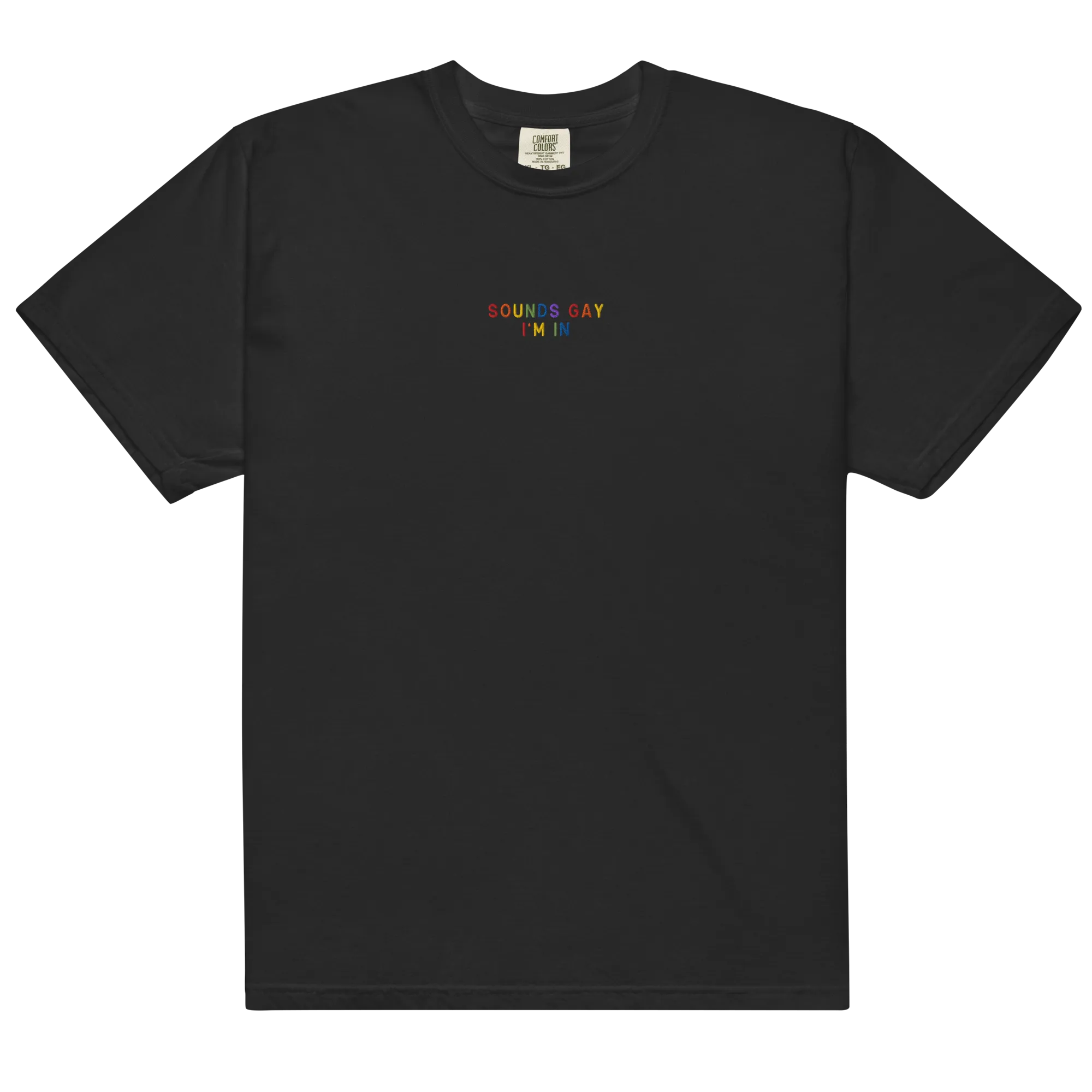 Sounds Gay, I'm In Pride Embroidered Premium T-Shirt