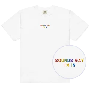 Sounds Gay, I'm In Pride Embroidered Premium T-Shirt