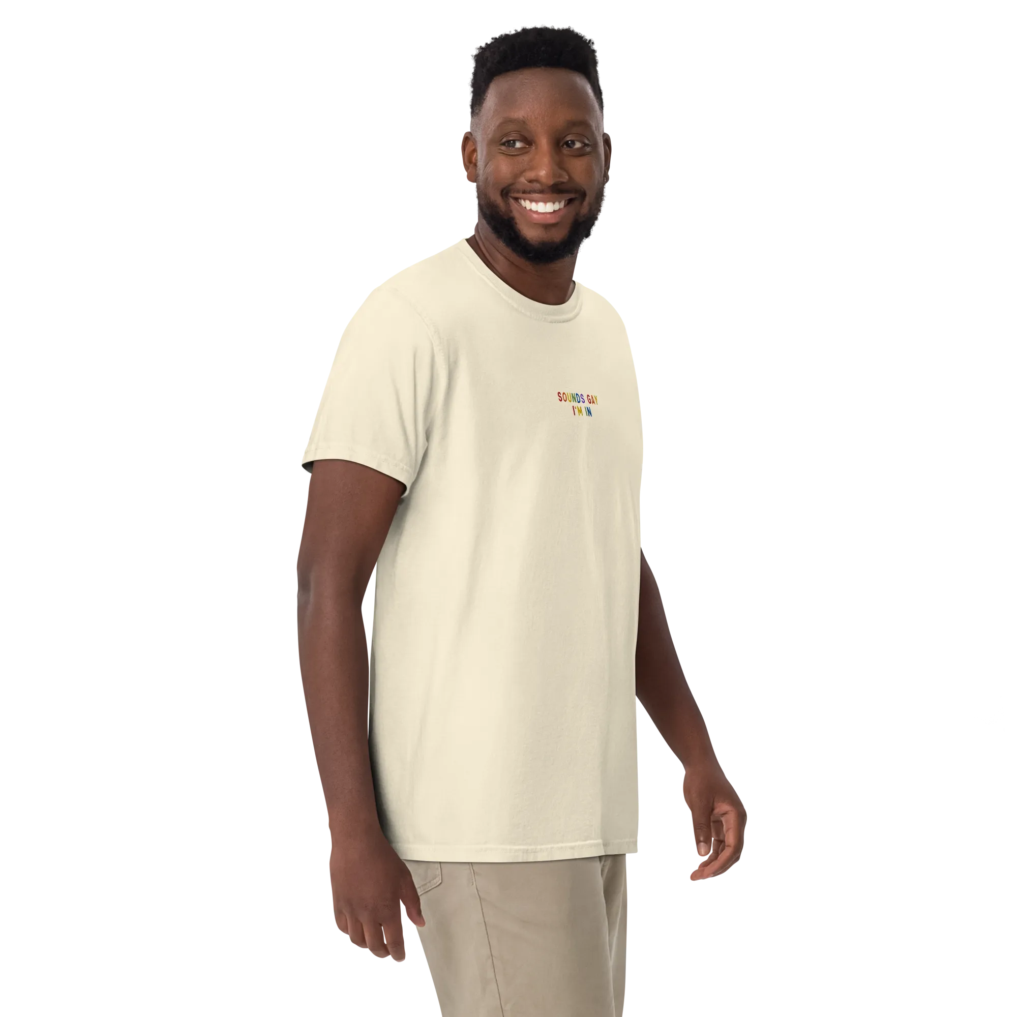 Sounds Gay, I'm In Pride Embroidered Premium T-Shirt