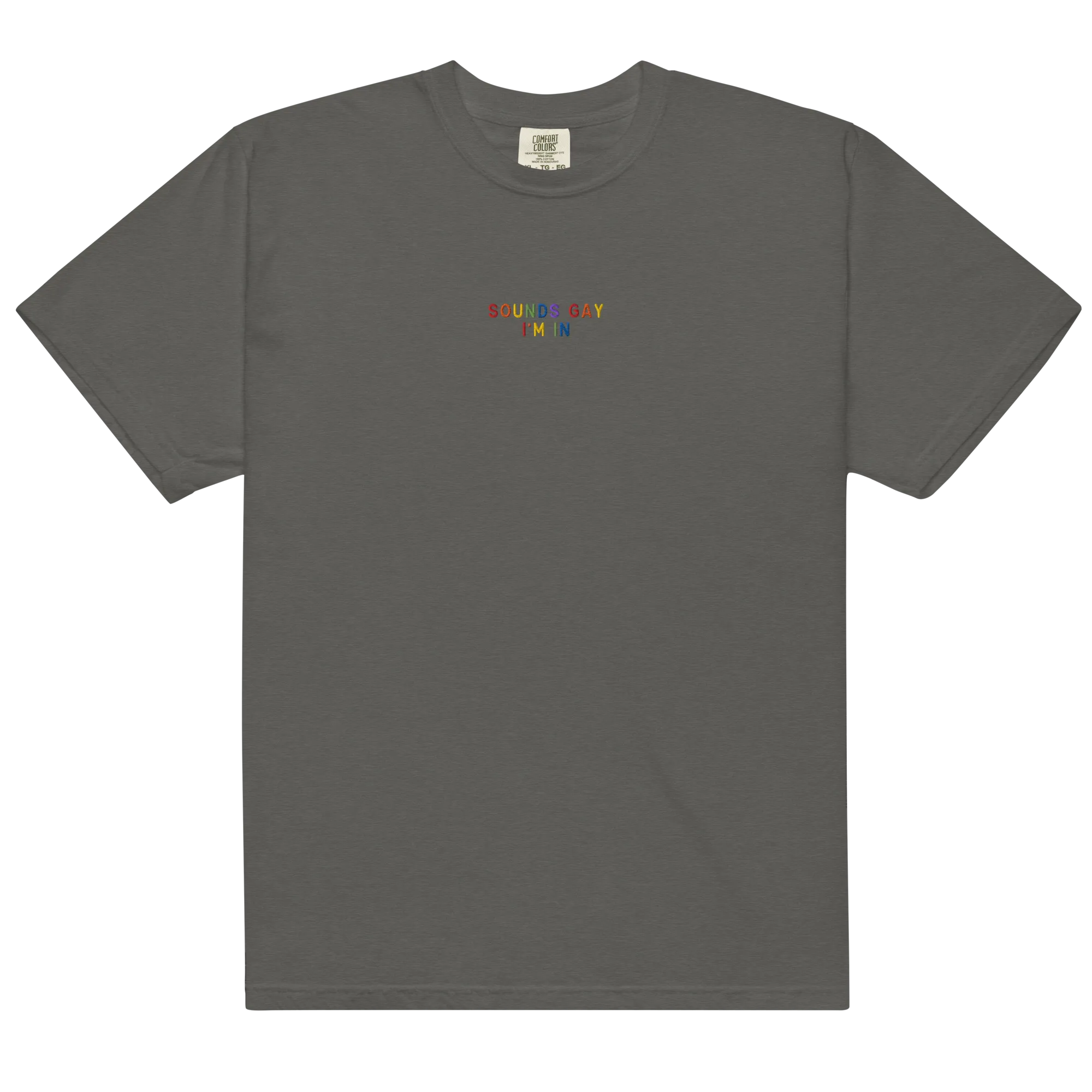 Sounds Gay, I'm In Pride Embroidered Premium T-Shirt