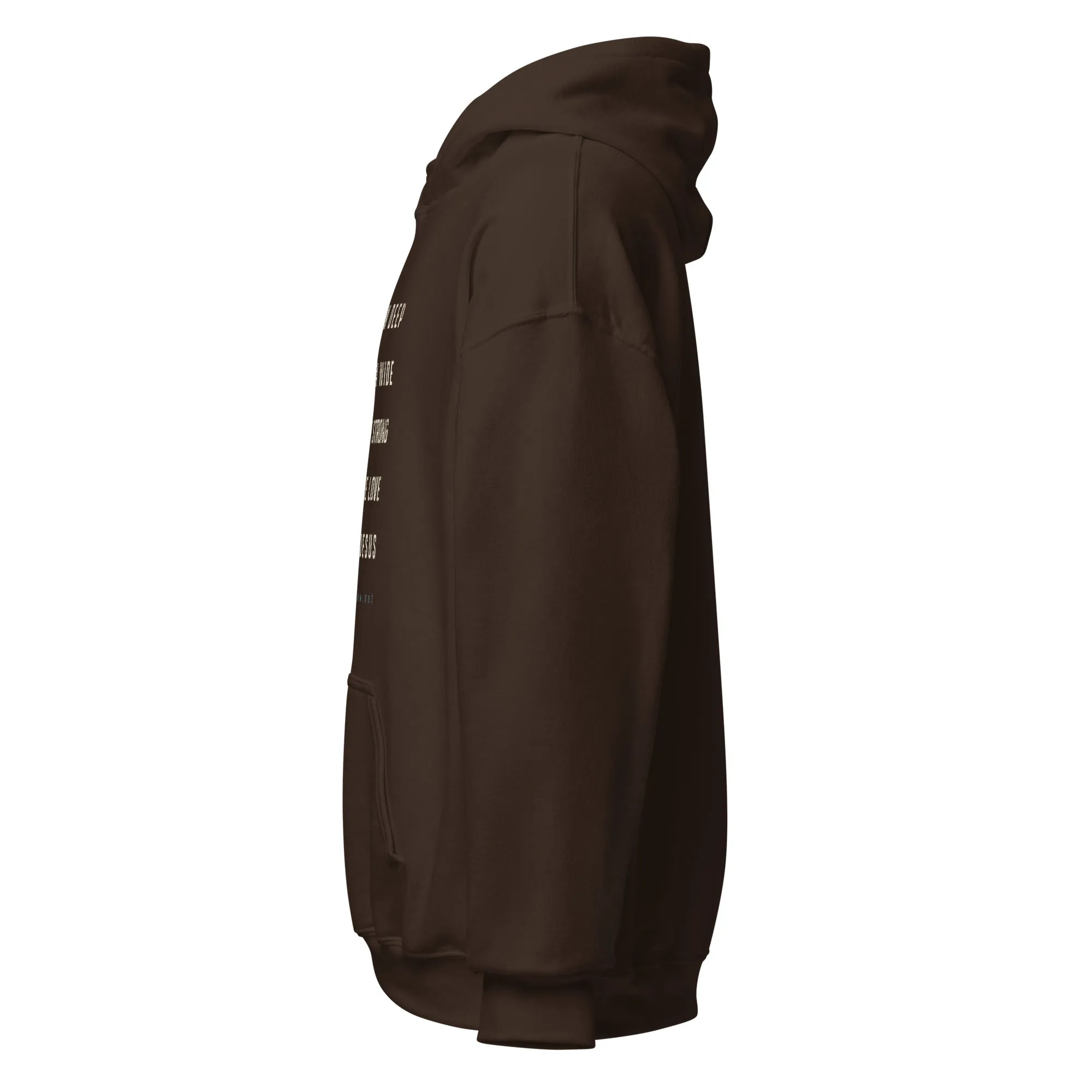 The Love of Jesus Unisex Hoodie
