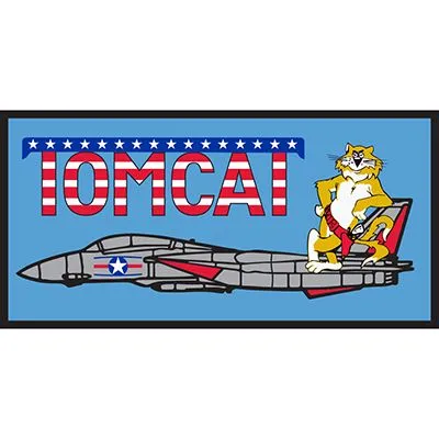 US Military USN F-14 Tomcat Jet Patch
